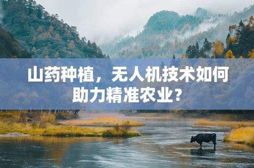山药种植，无人机技术如何助力精准农业？