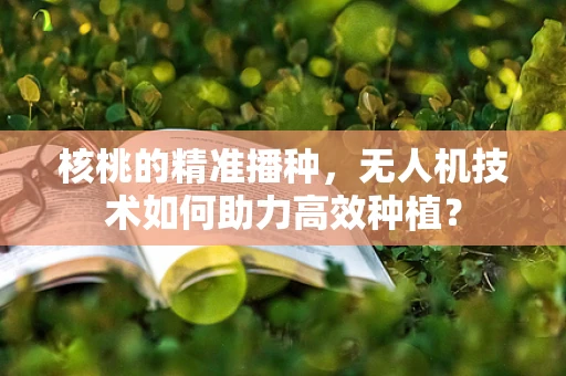 核桃的精准播种，无人机技术如何助力高效种植？