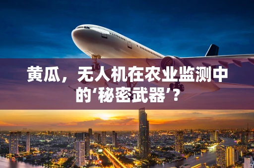 黄瓜，无人机在农业监测中的‘秘密武器’？