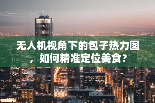 无人机视角下的包子热力图，如何精准定位美食？