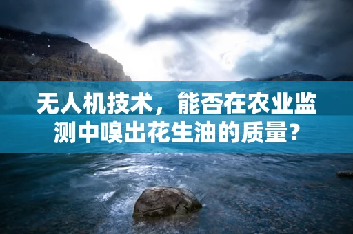无人机技术，能否在农业监测中嗅出花生油的质量？