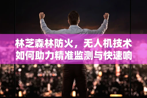 林芝森林防火，无人机技术如何助力精准监测与快速响应？