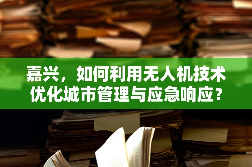 嘉兴，如何利用无人机技术优化城市管理与应急响应？