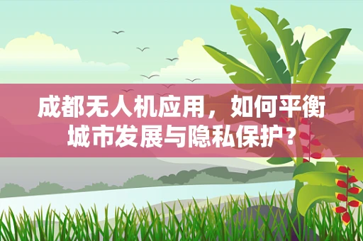 成都无人机应用，如何平衡城市发展与隐私保护？