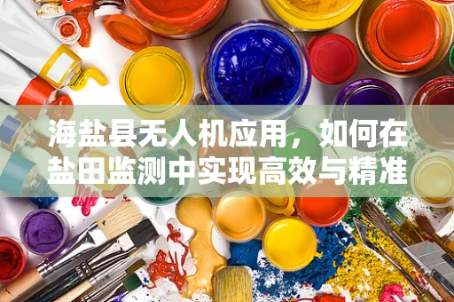 海盐县无人机应用，如何在盐田监测中实现高效与精准？