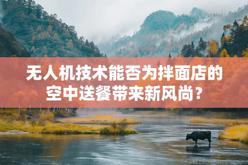 无人机技术能否为拌面店的空中送餐带来新风尚？