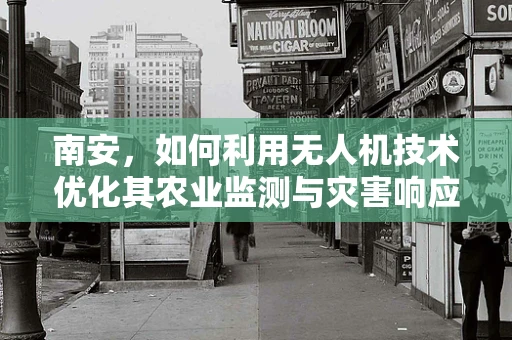 南安，如何利用无人机技术优化其农业监测与灾害响应？