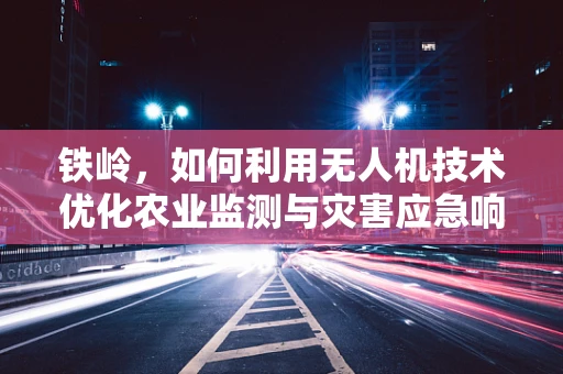 铁岭，如何利用无人机技术优化农业监测与灾害应急响应？