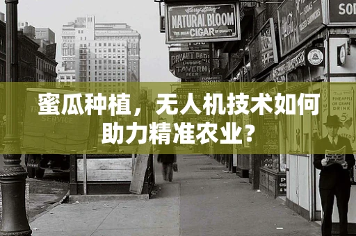蜜瓜种植，无人机技术如何助力精准农业？