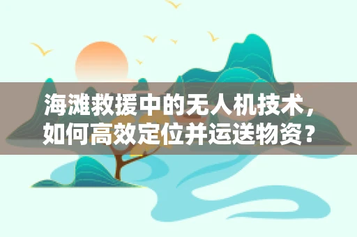 海滩救援中的无人机技术，如何高效定位并运送物资？