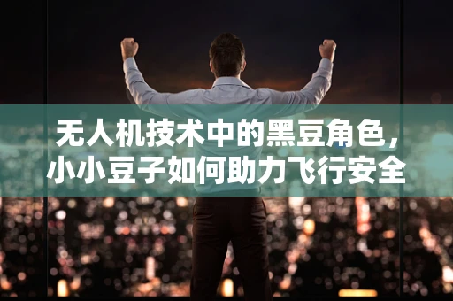 无人机技术中的黑豆角色，小小豆子如何助力飞行安全？