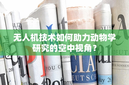 无人机技术如何助力动物学研究的空中视角？