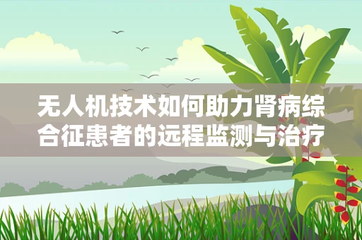 无人机技术如何助力肾病综合征患者的远程监测与治疗？