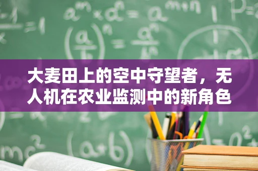 大麦田上的空中守望者，无人机在农业监测中的新角色？