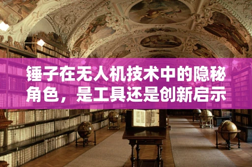 锤子在无人机技术中的隐秘角色，是工具还是创新启示？