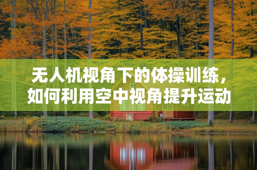 无人机视角下的体操训练，如何利用空中视角提升运动员表现？