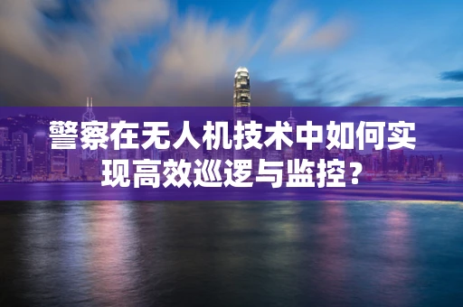 警察在无人机技术中如何实现高效巡逻与监控？
