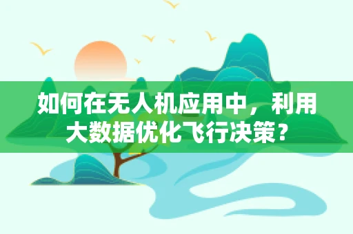 如何在无人机应用中，利用大数据优化飞行决策？