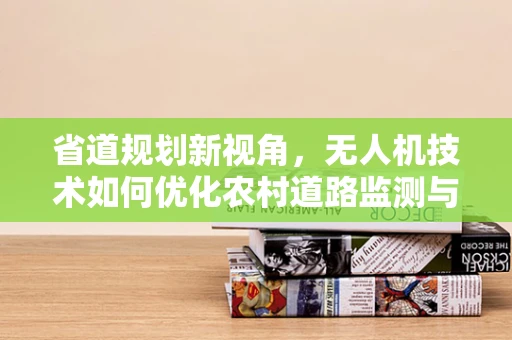 省道规划新视角，无人机技术如何优化农村道路监测与维护？