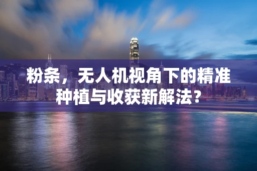 粉条，无人机视角下的精准种植与收获新解法？