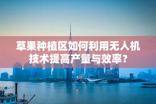 草果种植区如何利用无人机技术提高产量与效率？