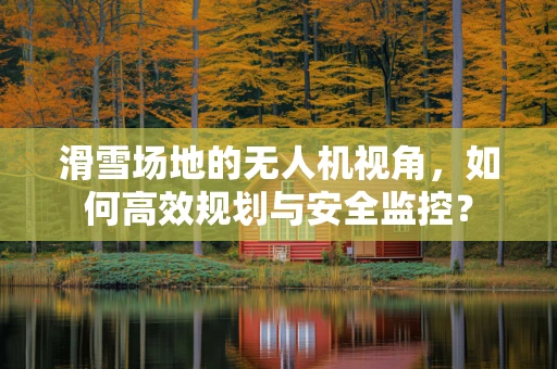 滑雪场地的无人机视角，如何高效规划与安全监控？