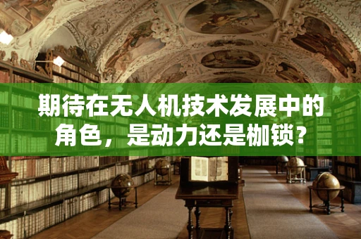 期待在无人机技术发展中的角色，是动力还是枷锁？