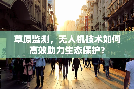 草原监测，无人机技术如何高效助力生态保护？