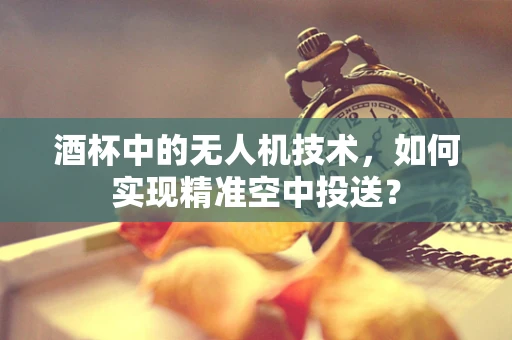酒杯中的无人机技术，如何实现精准空中投送？
