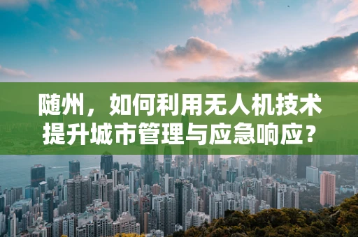 随州，如何利用无人机技术提升城市管理与应急响应？