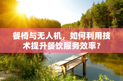 餐椅与无人机，如何利用技术提升餐饮服务效率？