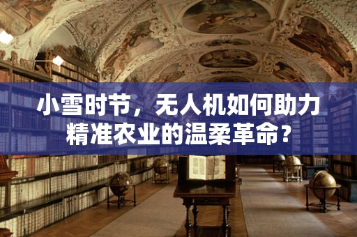 小雪时节，无人机如何助力精准农业的温柔革命？
