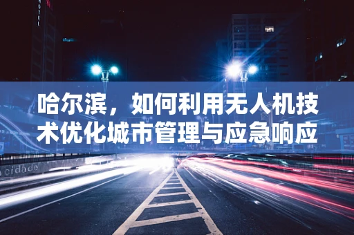 哈尔滨，如何利用无人机技术优化城市管理与应急响应？
