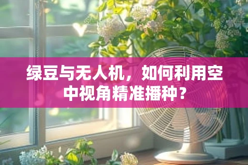 绿豆与无人机，如何利用空中视角精准播种？