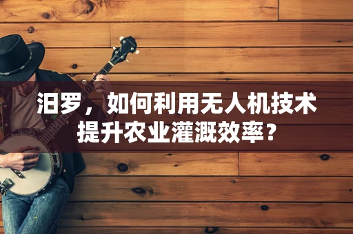 汨罗，如何利用无人机技术提升农业灌溉效率？