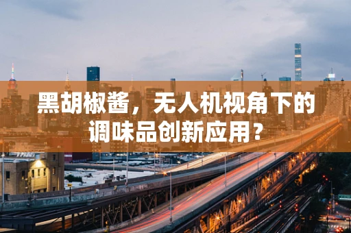 黑胡椒酱，无人机视角下的调味品创新应用？