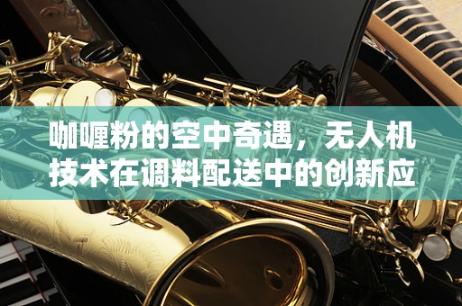 咖喱粉的空中奇遇，无人机技术在调料配送中的创新应用？