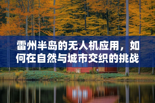 雷州半岛的无人机应用，如何在自然与城市交织的挑战中寻找最佳飞行路径？