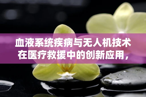 血液系统疾病与无人机技术在医疗救援中的创新应用，如何实现快速精准的空中诊断？