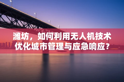 潍坊，如何利用无人机技术优化城市管理与应急响应？