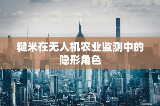 糙米在无人机农业监测中的隐形角色