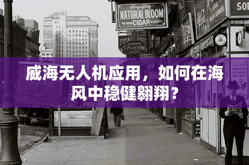 威海无人机应用，如何在海风中稳健翱翔？