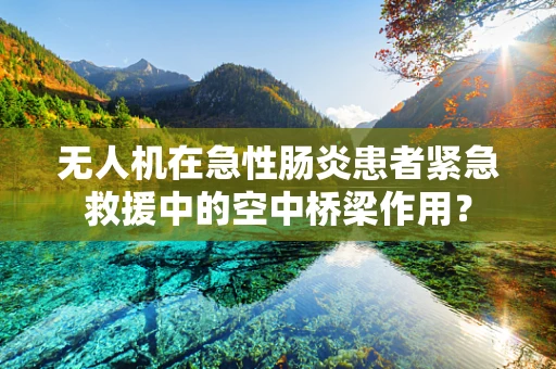 无人机在急性肠炎患者紧急救援中的空中桥梁作用？