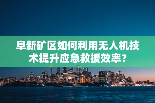 阜新矿区如何利用无人机技术提升应急救援效率？