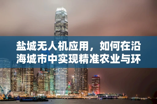 盐城无人机应用，如何在沿海城市中实现精准农业与环境保护的平衡？