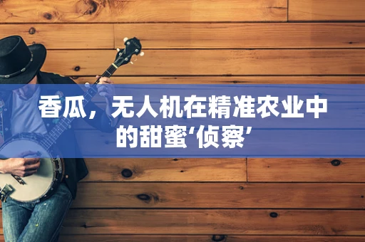 香瓜，无人机在精准农业中的甜蜜‘侦察’