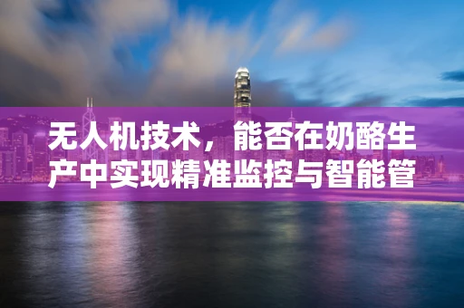 无人机技术，能否在奶酪生产中实现精准监控与智能管理？