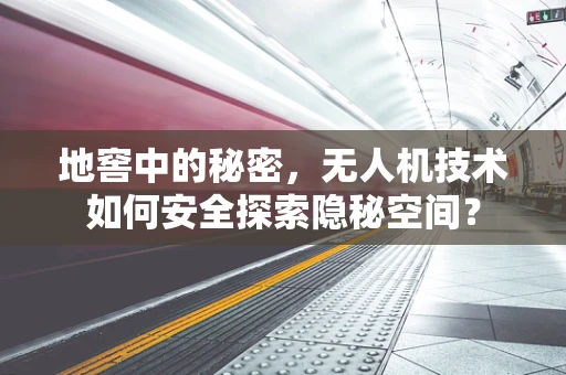 地窖中的秘密，无人机技术如何安全探索隐秘空间？