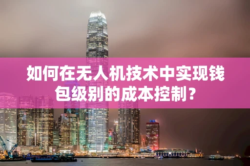 如何在无人机技术中实现钱包级别的成本控制？