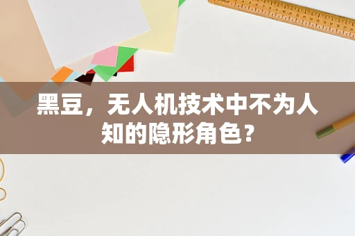 黑豆，无人机技术中不为人知的隐形角色？